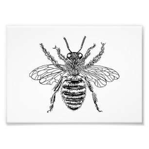 Impression Photo Queen Bee