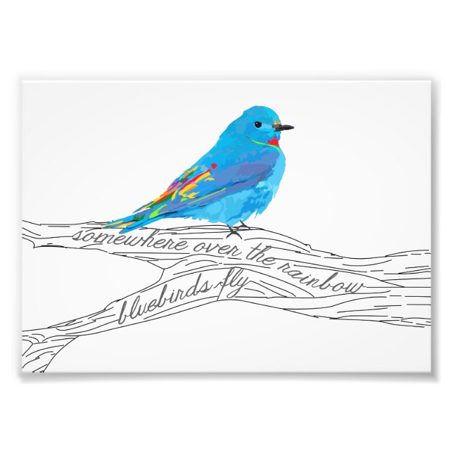 Impression Photo Quelque part au-dessus de Rainbow Bluebird Imprime (Devant)