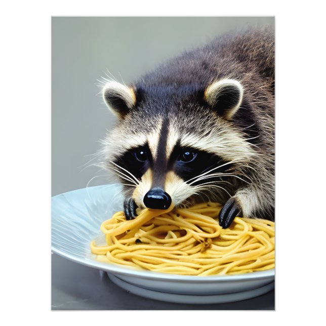 Impression Photo Raccoon mangeant Spaghetti (Devant)