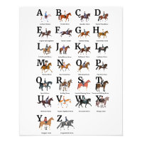 Races De Cheval Alphabétiques