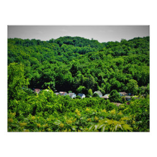 Impression Photo "Racines de Sorins"