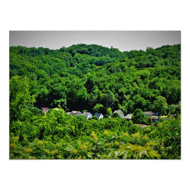 Impression Photo "Racines de Sorins" (Devant)