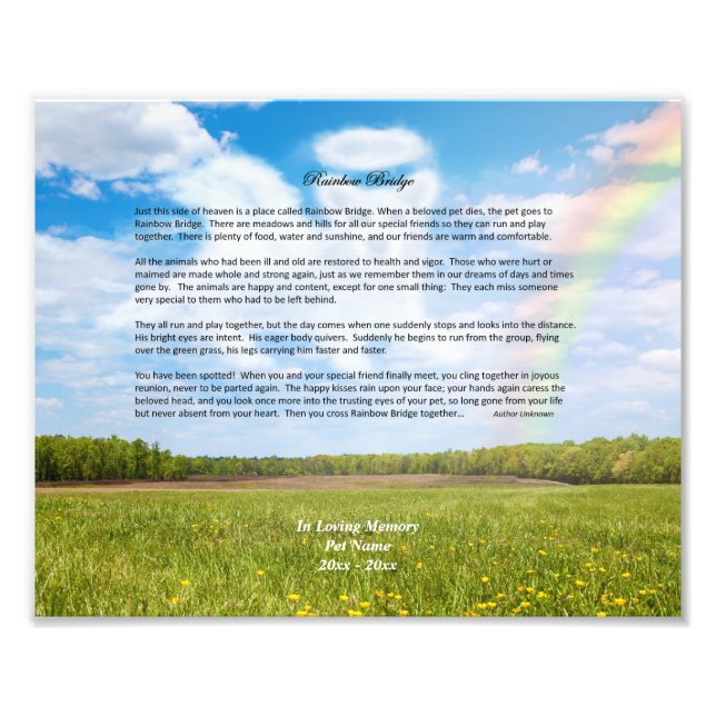 Impression Photo Rainbow Bridge HOMLE Chien Sympathie Imprimer (Devant)