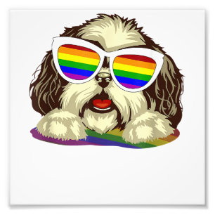 Impression Photo Rainbow LGBT Drapeau Gay pride Shih Tzu Chien Copi