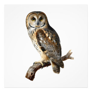 Impression Photo “Randolph” - Un silence vigilant, portrait d'un hi