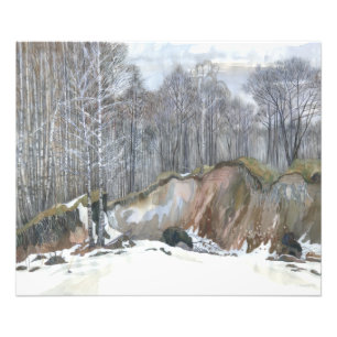 Impression Photo Ravin neigeux