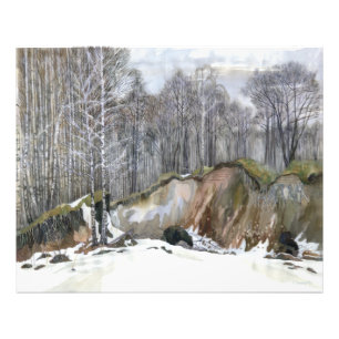 Impression Photo Ravin neigeux