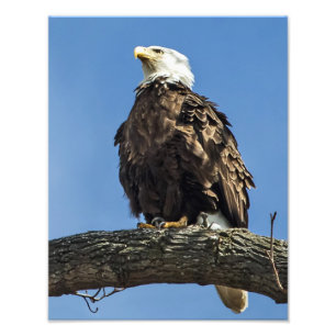 Impression Photo Recherche