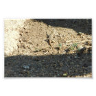 Recherche De Temps De Rêve