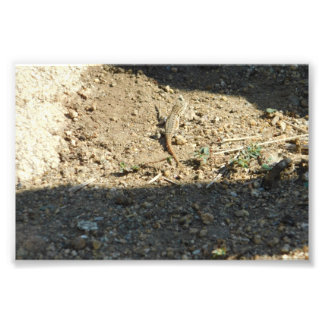 Impression Photo Recherche De Temps De Rêve