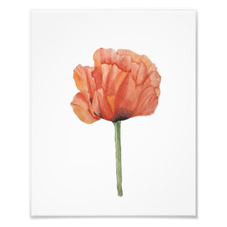 Impression Photo Red Poppy Watercolor Botanical Print