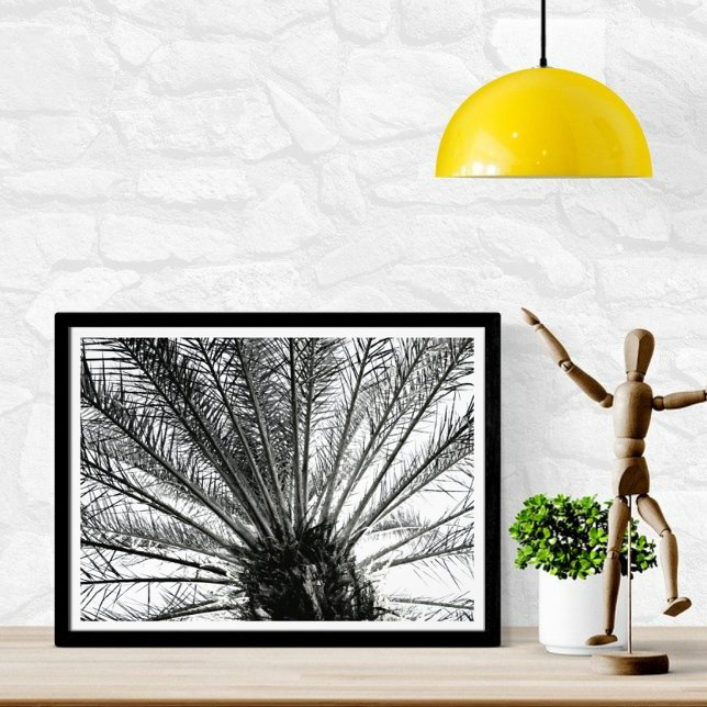 Impression Photo Regard vers le haut // Noir et blanc Floride Palm (Créateur téléchargé)
