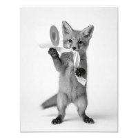 Renard drôle tenant du papier toilette, faune mini