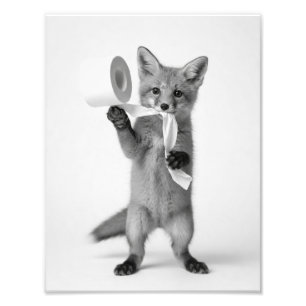 Impression Photo Renard drôle tenant du papier toilette, faune mini