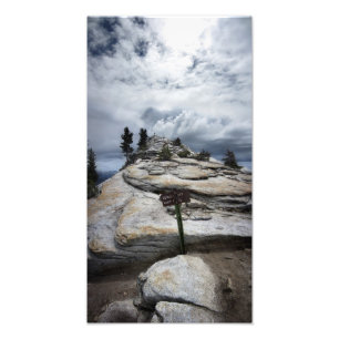 Impression Photo Repos des nuages - Yosemite