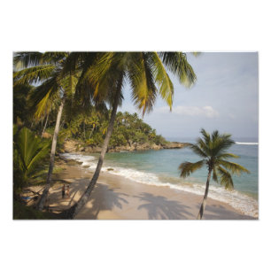 Impression Photo République dominicaine, côte nord, Abreu, Playa 3