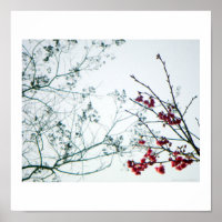 Impression photo Ressort / Fleurs de cerisiers