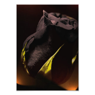 Impression Photo Retour