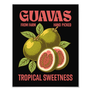 Impression Photo Retro Guavas Fruit Commercial Graphisme Art Style