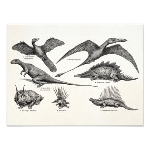 Impression Photo Rétros dinosaures d'illustration vintage de