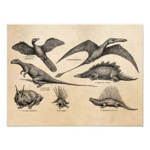 Impression Photo Rétros dinosaures d'illustration vintage de