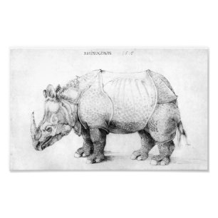 Impression Photo Rhinocéros d'Albrecht Durer