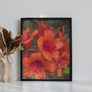 Impression Photo Rhododendron clair Orange fleurit Floral