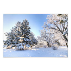 Impression Photo Rime Frost à Yorkton SK