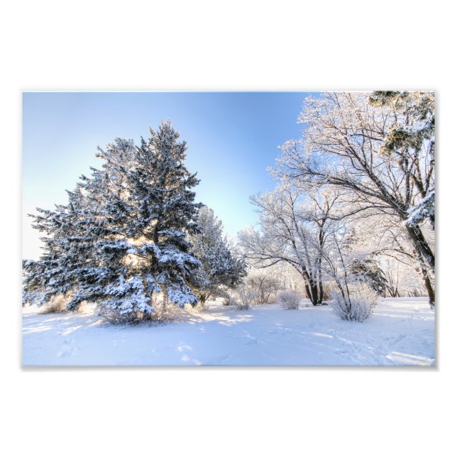 Impression Photo Rime Frost à Yorkton SK (Devant)