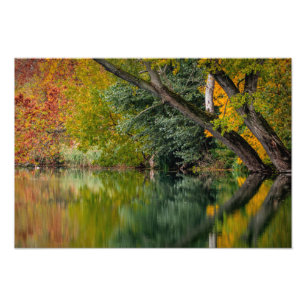Impression Photo Rivière d'automne