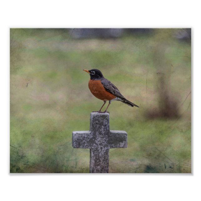 Impression Photo Robin sur une croix (Devant)