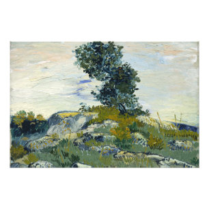 Impression Photo Roches avec chêne, peinture à l'huile de Van Gogh