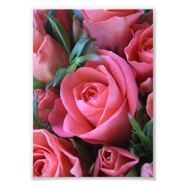 Impression Photo Rose (Devant)