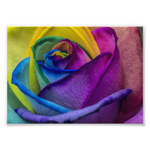 Impression Photo Rose arc-en-ciel Abstrait