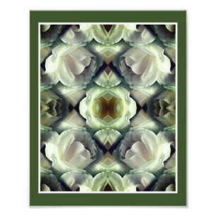 Impression Photo Rose blanche miroir floral Art Abstrait 8x10