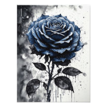 Rose - Bleu