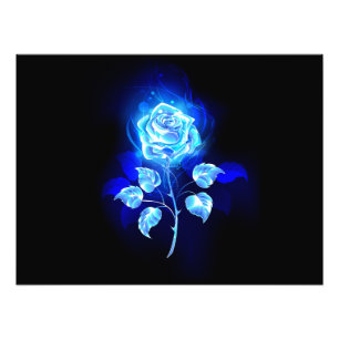 Impression Photo Rose bleu brûlant