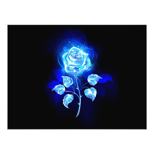 Impression Photo Rose bleu brûlant (Devant)