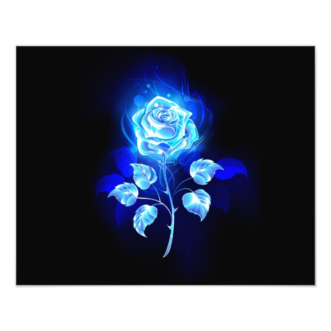 Impression Photo Rose bleu brûlant (Devant)