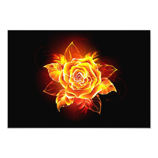 Impression Photo Rose de feu en fleurs (Devant)