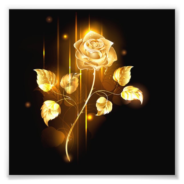 Impression Photo Rose d'or ( rose d'or ) (Devant)