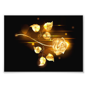 Impression Photo Rose d'or ( rose d'or )