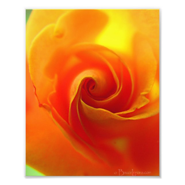 Impression Photo Rose jaune (Devant)