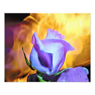 Impression Photo rose light of flames