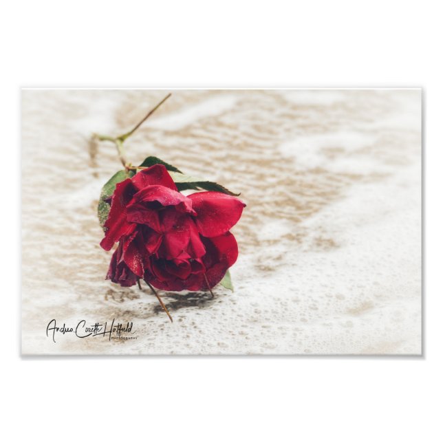 Impression Photo Rose Océan (Devant)