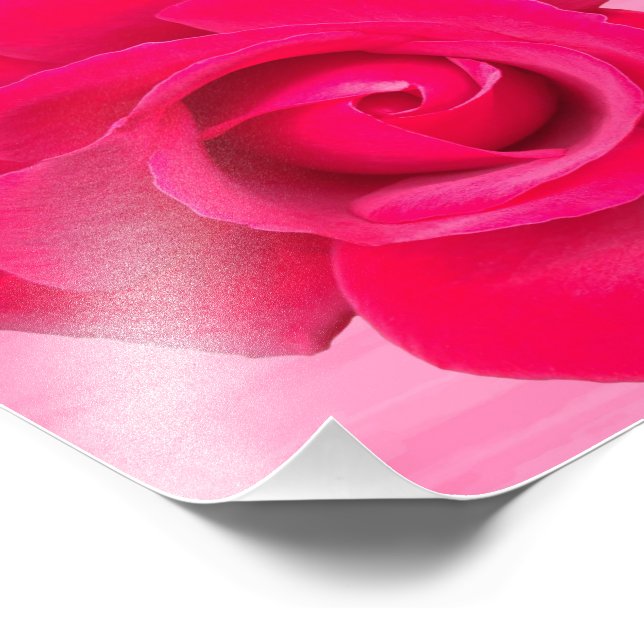 Impression Photo Rose rouge romantique (Coin)