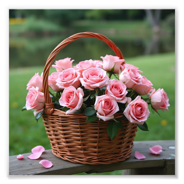 Impression Photo roses roses belles (Devant)