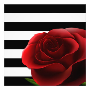 Impression Photo Roses rouges et Blancs noirs