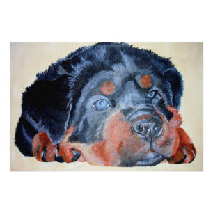 Impression Photo Rottweiler Chiot Artistique Portrait pour Animaux