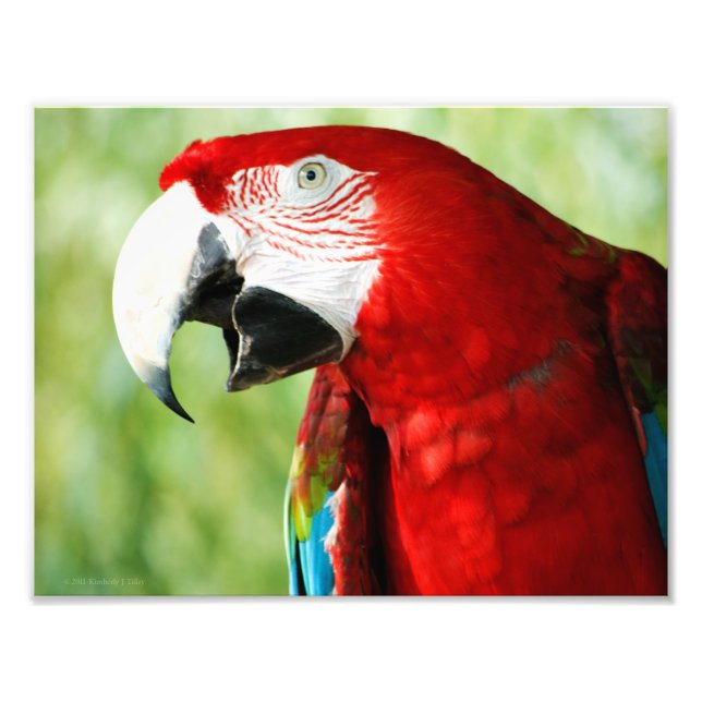 Impression Photo Rouge brillant (Devant)